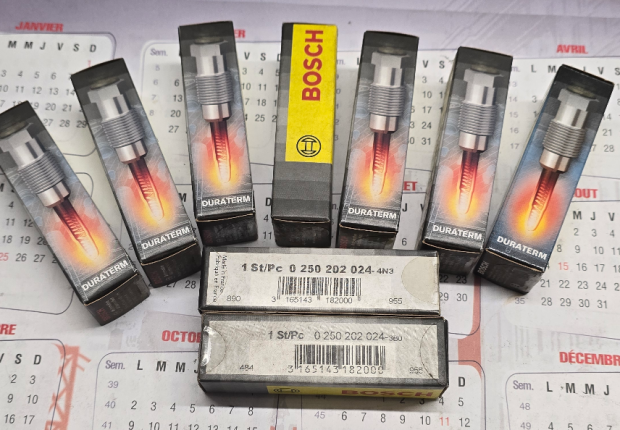 0250202024 Bougies de préchauffage Bosch 